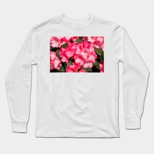 Pink Rhododendron Flower, Close-Up, Germany Long Sleeve T-Shirt